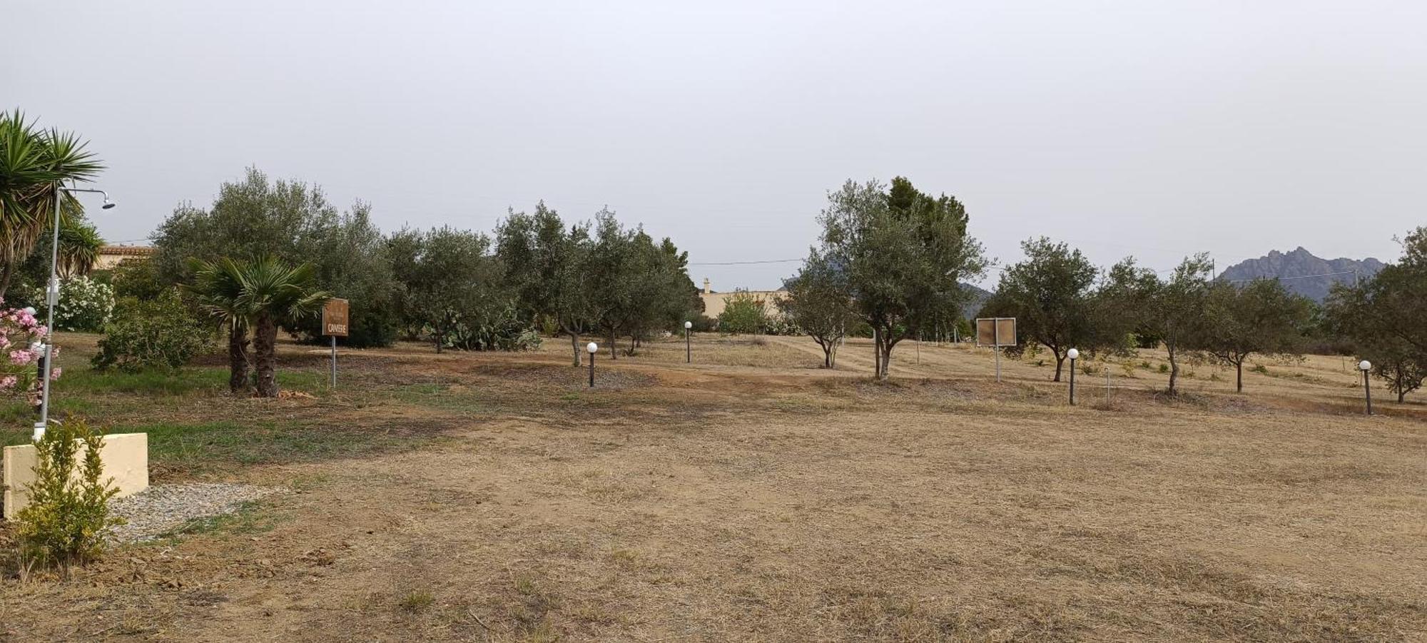 Sa Teria Village - Appartamenti - Tertenìa Zewnętrze zdjęcie
