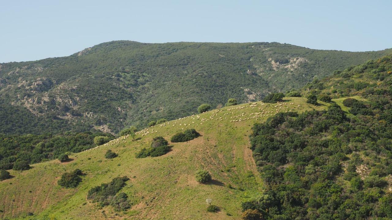 Sa Teria Village - Appartamenti - Tertenìa Zewnętrze zdjęcie